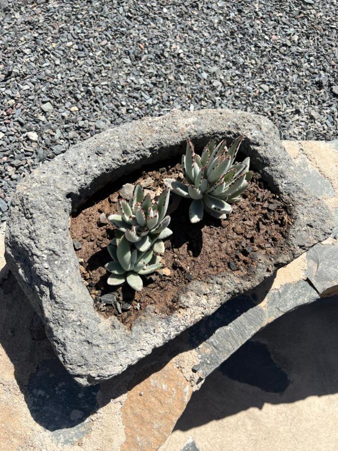 Casa Rural Con Bano Adaptado Y Piscina En Mogán Buitenkant foto