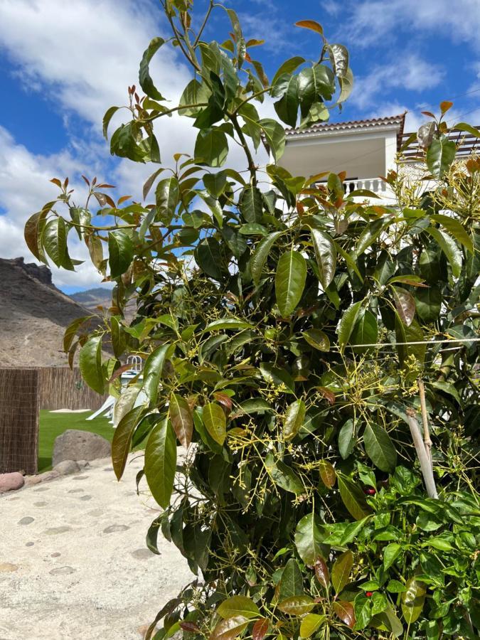 Casa Rural Con Bano Adaptado Y Piscina En Mogán Buitenkant foto